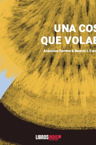 Una cosa que volaba